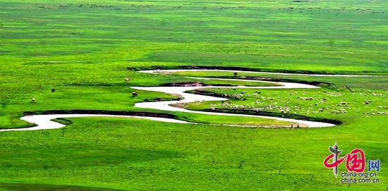Животворящая степь Силиньголэ во Внутренней Монголии