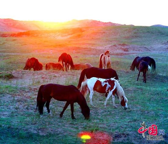 Животворящая степь Силиньголэ во Внутренней Монголии