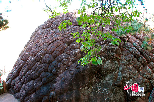 Каменные пещеры в горах Шичжуншань провинции Юньнань 5
