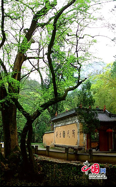 Монастырь Гоцинсы в горах Тяньтайшань провинции Чжэцзян 3