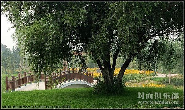 Олимпийский лесопарк в Пекине является городским парком, отличающимся красивыми природными пейзажами и богатой растительностью. Он называется «задним парком» пекинской Олимпиады. После 2008 г. он станет многофункциональным экологическим районом.