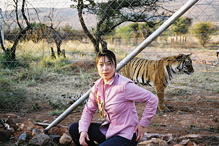 Цюань Ли и тигры