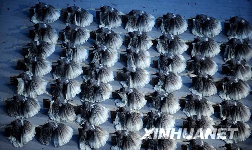 Я фотографировал церемонию открытия пекинской Олимпиады с вершины «Гнезда»