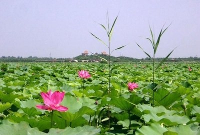 Байяндянь - самое большое прохладное озеро в окрестностях Пекина