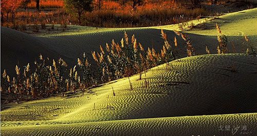 Волшебная пустыня Гоби