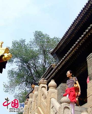 Гора Утайшань – священное место китайского буддизма