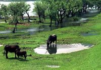 Живописный район Наньсицзян в провинции Чжэцзян 