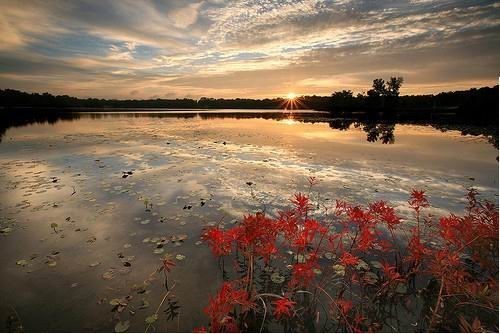 50 прекрасных моментов, запечатленных на фотографиях Красота природы