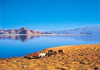 Святое озеро Мапанюнцо в Тибете