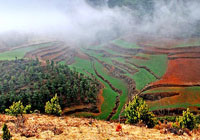Красная почва в провинции Юньнань 