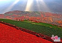 Красная почва в провинции Юньнань