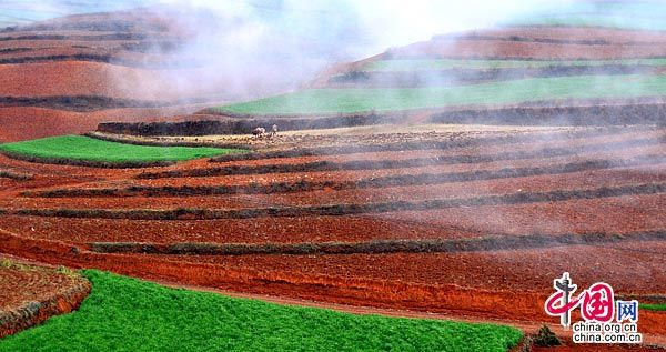 Красная почва в провинции Юньнань 