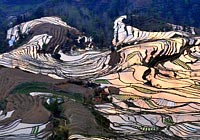 Сказочные террасовые поля в уезде Юаньян провинции Юньнань 