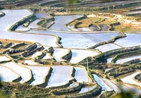 Сказочные террасовые поля в уезде Юаньян провинции Юньнань 