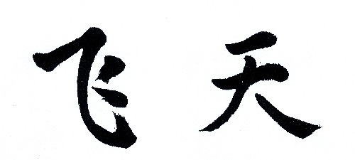 Ху Цзиньтао посвятил памятную надпись скафандру, разработанному китайскими специалистами