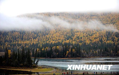 Золотая осень в живописном районе Кенасы Синьцзян-Уйгурского автономного района