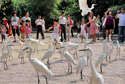 Атмосфера гармонии и радости в городском парке Фучжоу