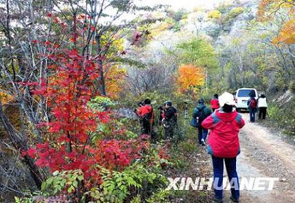 Осенняя красота государственного лесопарка Тяньцяогоу в городе Даньдун провинции Ляонин