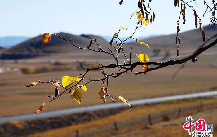 Красивая природа степи Уланьмутун в автономном районе КНР Внутренняя Монголия