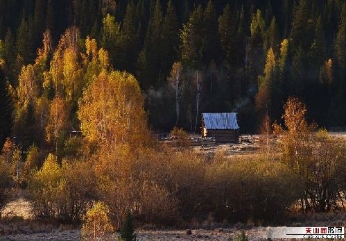 Золотая осень в Синьцзяне