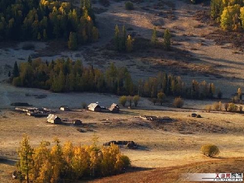 Золотая осень в Синьцзяне