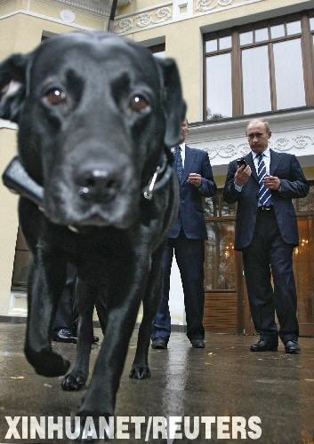 Собаку Путина подключили к системе ГЛОНАСС