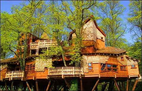 Восемь самых известных домов, построенных на деревьях