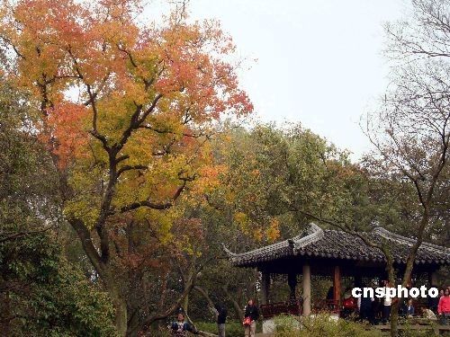 Очаровательный пейзаж в парке Чжочжэнъюань г. Сучжоу 