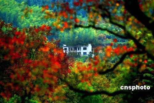 Живописный пейзаж в деревне Тачуань провинции Аньхой 