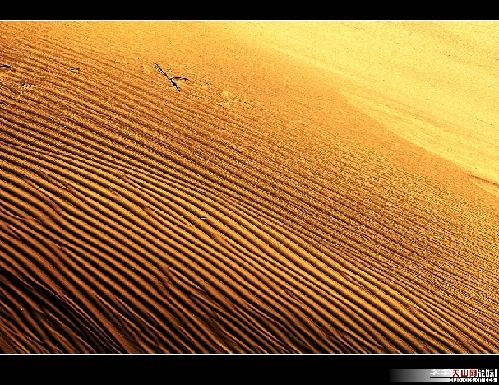Красота пустыни Такла-Макан
