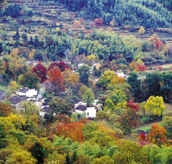 Осенняя красота городка на юге Китая3