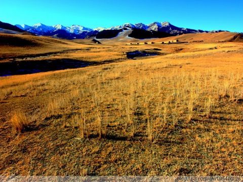 Красивый пейзаж в степи Наньиньбирагэ Автономного района Внутренняя Монголия 