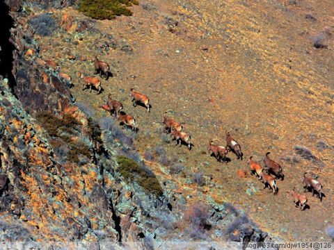 Красивый пейзаж в степи Наньиньбирагэ Автономного района Внутренняя Монголия 