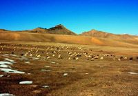 Красивый пейзаж в степи Наньиньбирагэ Автономного района Внутренняя Монголия