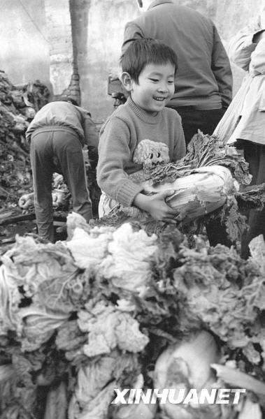 Воспоминания пекинцев, связанные с зимней капустой 