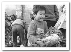Воспоминания пекинцев, связанные с зимней капустой