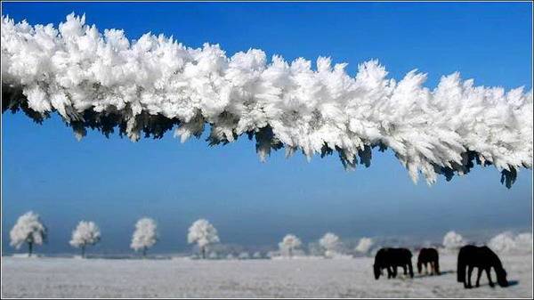 Лучшие фотографии 2008 года со всего мира27