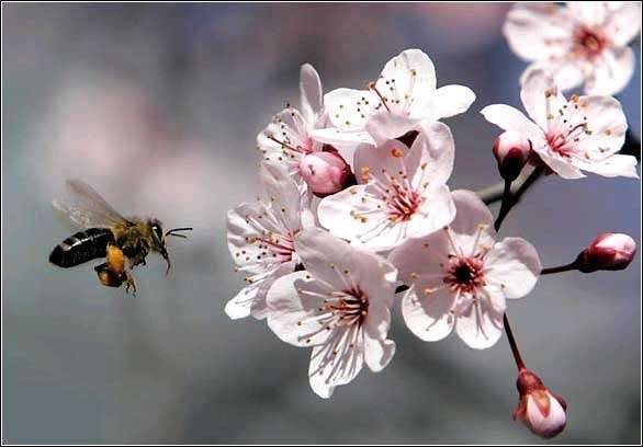 Лучшие фотографии 2008 года со всего мира33