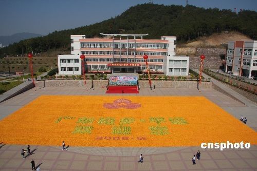 В провинции Гуандун составлена самая большая в мире картина из фруктов 