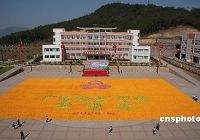 В провинции Гуандун составлена самая большая в мире картина из фруктов