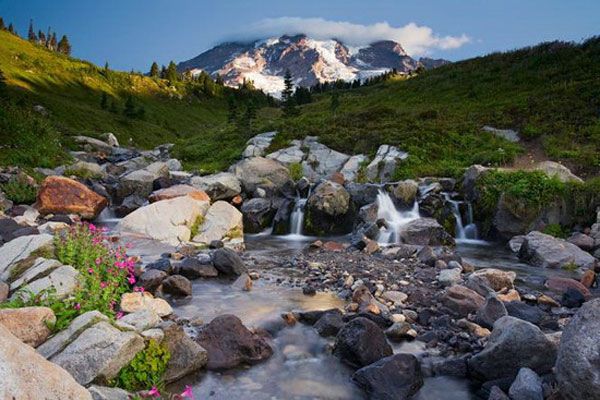 Чудесная природа – лучшие международные фотографии