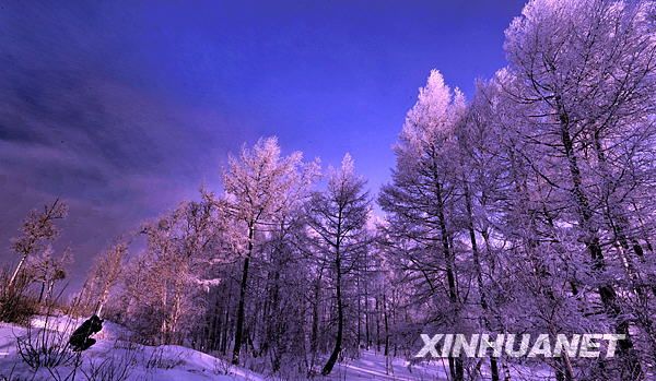 Живописные зимние пейзажи в горах Аршань 