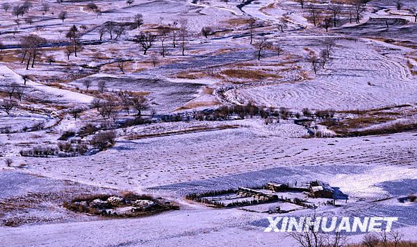 Живописные зимние пейзажи в горах Аршань 