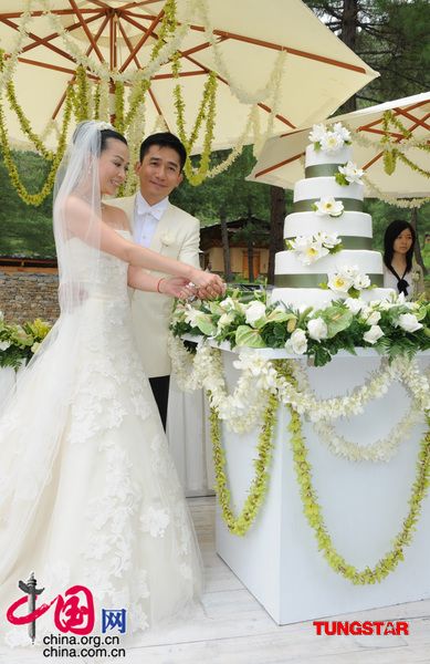 Китайские знаменитости, поженившиеся в 2008 году14