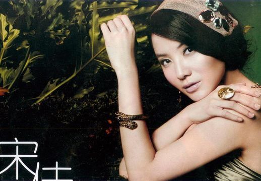 Телезвезда Сун Цзян демонстрирует красоту по-китайски 