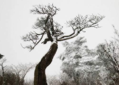Пять лучших мест Китая для любителей снежных пейзажей 