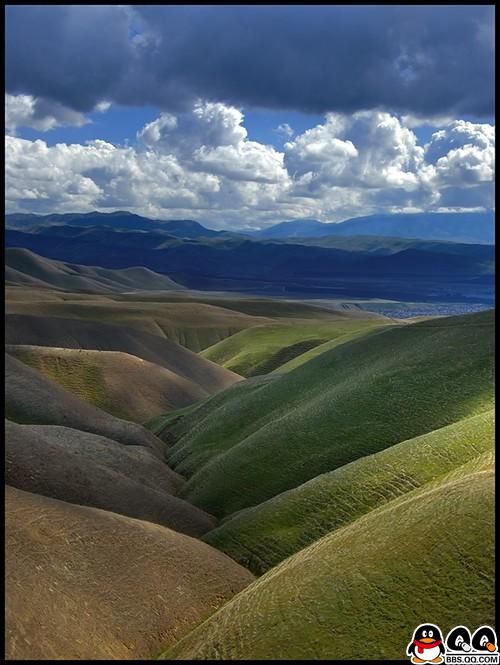 Коллекция лучших фотографий