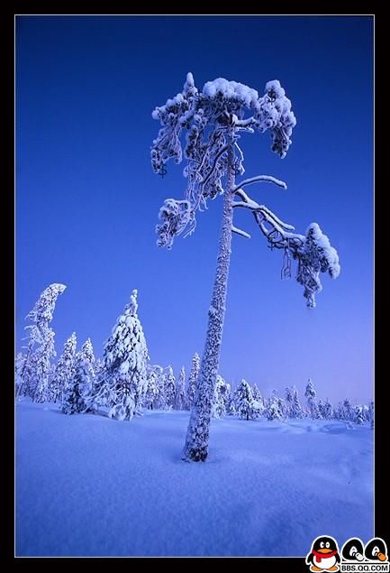 Коллекция лучших фотографий