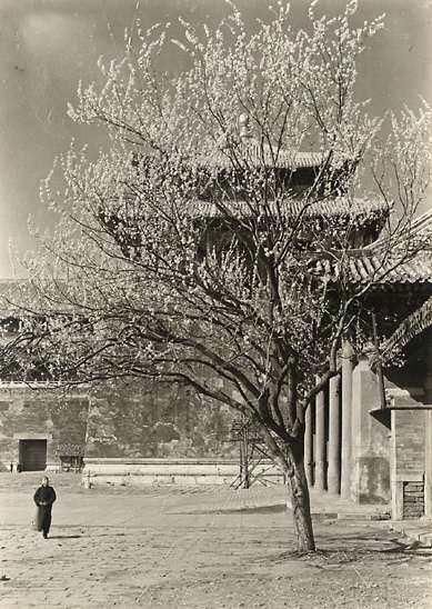 Старый Пекин в объективе иностранного фотографа 2