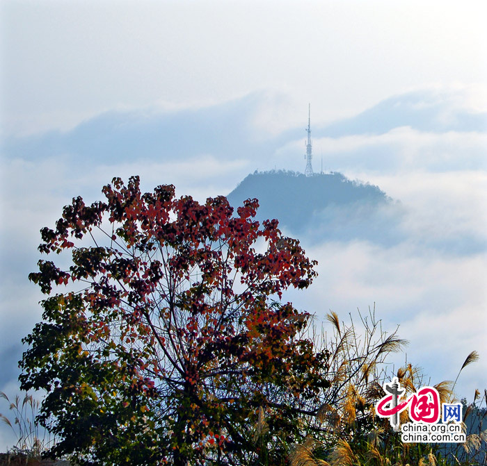 Очаровательные горы Сунъюньшань в тумане